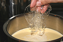 Gelantine