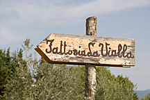 Schild