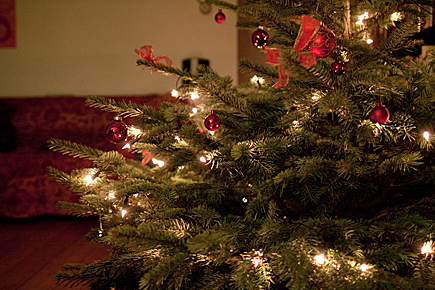 baum-435-img_0167 baum-435-img_0167